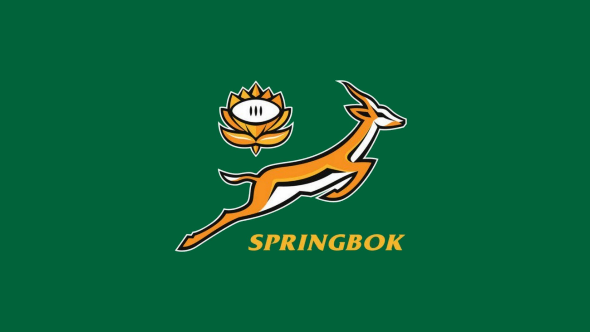 Springboks Afrique du Sud Rugby