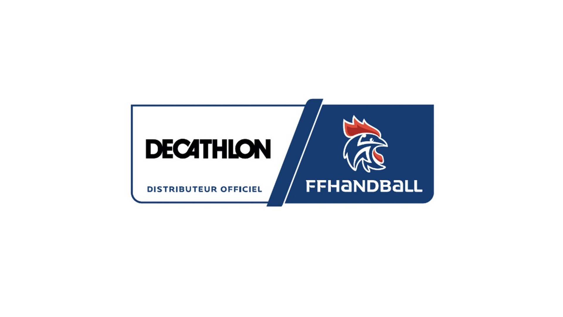 Decathlon x FF Handball (handball) 2021