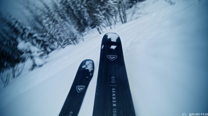 Rossignol campagne