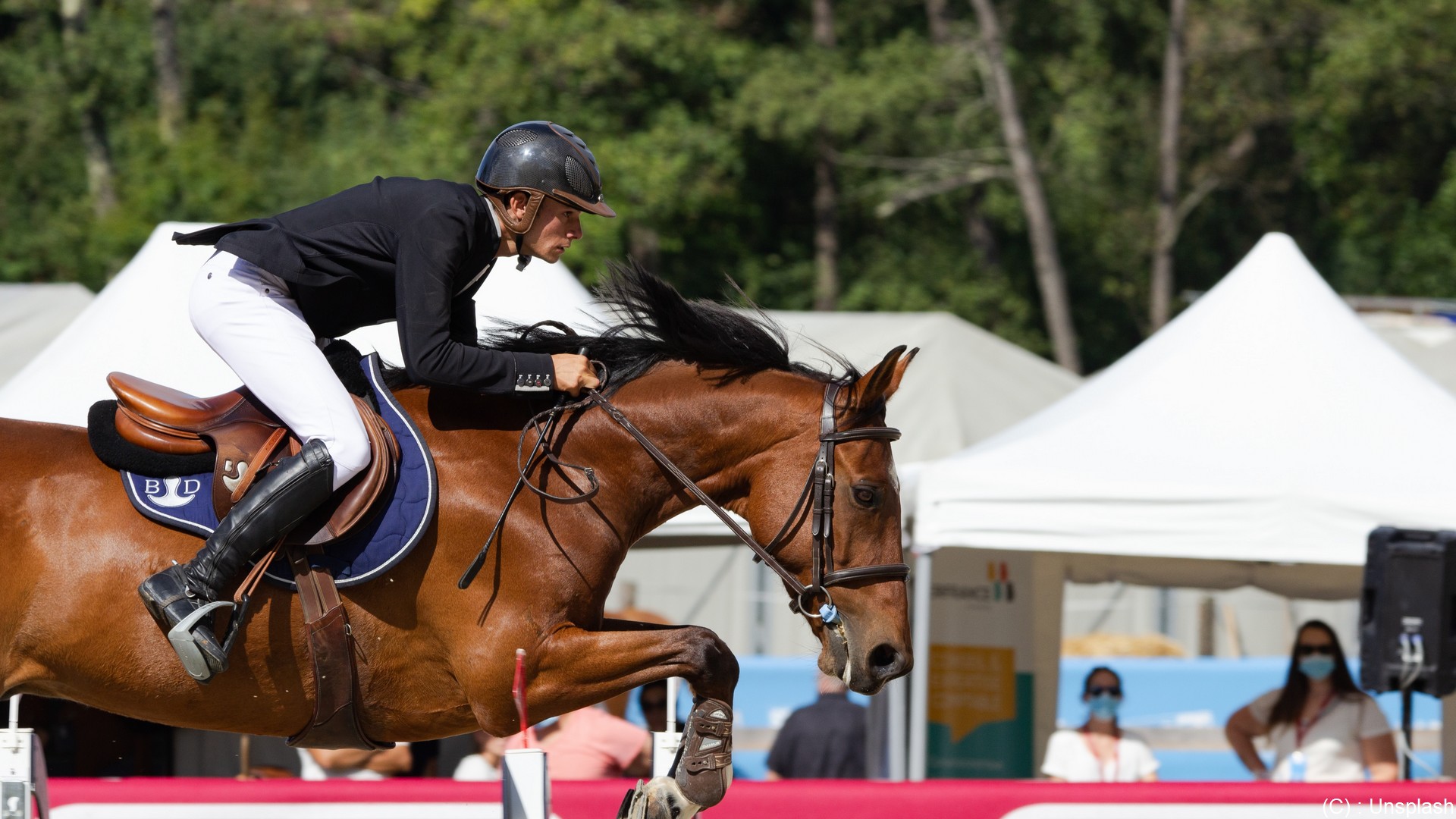 Equitation. Le Jumping De La Baule En Chiffres | SportBusiness.Club